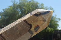 Polished Large Septaria (Yellow Calcite and Aragonite) Point x 1 From Mahajanga, Madagascar - TopRock