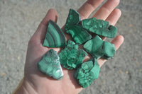 Polished Flower Banded Malachite Slices  x 24 From Congo - Toprock Gemstones and Minerals 