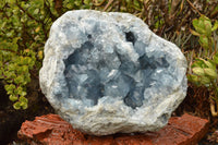 Natural Extra Large Celestite Geode With Large Cubic Crystals  x 1 From Sakoany, Madagascar - TopRock