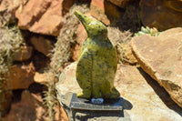 Polished Leopard Stone Penguin Carvings  x 2 From Zimbabwe - TopRock