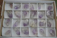 Natural Single Zambian Jacaranda Amethyst Points - Sold per 1.6 kg (24 points per tray) - From Mumbwa, Zambia - TopRock