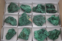 Natural Chatoyant Silky Malachite Specimens  x 12 From Kasompe, Congo - TopRock