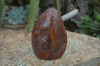 Polished Red Jasper Standing Free Forms  x 2 From Madagascar - Toprock Gemstones and Minerals 