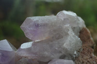 Natural Jacaranda Amethyst Cluster x 1 From Mumbwa, Zambia - TopRock