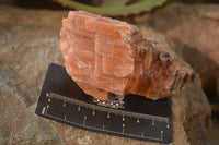 Natural New Sunset Orange Calcite Specimens  x 12 From Spitzkop, Namibia