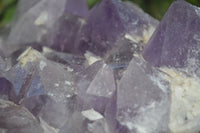 Natural Large Jacaranda Amethyst Cluster  x 1 From Mumbwa, Zambia - Toprock Gemstones and Minerals 