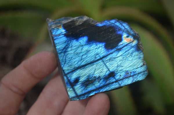 Polished One Side Polished Labradorite Pieces x 24 From Tulear, Madagascar