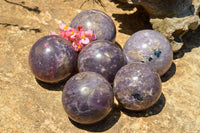 Polished Purple Lepidolite Mica Spheres  x 6 From Madagascar - TopRock