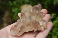 Natural Red Hematoid Phantom Quartz Crystals/Clusters x 12 From Zimbabwe - TopRock