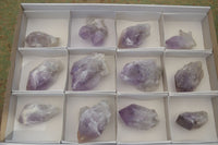 Natural Single Jacaranda Amethyst Crystals  x 12 From Zambia - Toprock Gemstones and Minerals 