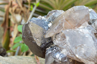 Natural XXL Self Healed Smokey Quartz Cluster  x 1 From Mt. Mulanje, Malawi - TopRock