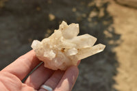 Natural Small Quartz Clusters With Long Intact Crystals  x 24 From Mandrosonoro, Madagascar - TopRock