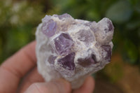 Natural Sugar Amethyst Clusters  x 12 From Solwezi, Zambia - Toprock Gemstones and Minerals 