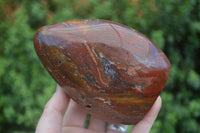 Polished Red Jasper Standing Free Forms  x 2 From Madagascar - Toprock Gemstones and Minerals 