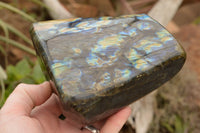 Polished Labradorite Standing Free Form With A Full Face Flash x 1 From Tulear, Madagascar - TopRock