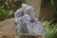 Natural Jacaranda Amethyst Cluster x 1 From Mumbwa, Zambia - TopRock