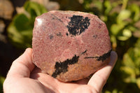 Polished Semi Polished Pink & Black Rhodonite Free Forms  x 5 From Ambindavato, Madagascar - TopRock