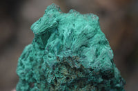 Natural Chatoyant Silky Malachite Specimens  x 6 From Kasompe, Congo - TopRock