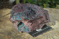 Natural Drusi Quartz Coated Malachite In Red Copper Dolomite  x 1 From Likasi, Congo - Toprock Gemstones and Minerals 