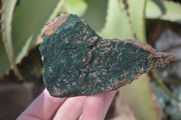 Natural Crystalline Micro Botryoidal Malachite Specimens  x 3 From Congo