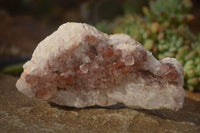 Natural Red Hematoid Phantom Quartz Clusters x 6 From Zambia