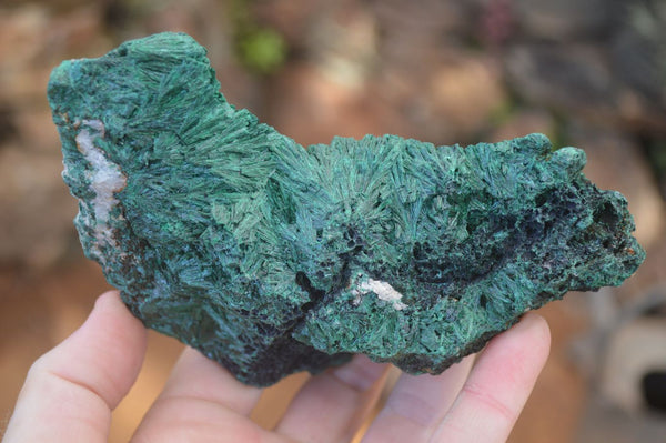 Natural Chatoyant Silky Malachite Specimens  x 4 From Kasompe, Congo