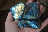 Polished One Side Polished Labradorite Pieces x 24 From Tulear, Madagascar