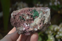 Natural Pink Salrose Cobaltion Dolomite Specimens x 6 From Kakanda, Congo