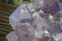 Natural Large Jacaranda Amethyst Cluster  x 1 From Mumbwa, Zambia - Toprock Gemstones and Minerals 