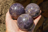 Polished Purple Lepidolite Mica Spheres  x 6 From Madagascar - TopRock