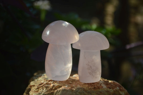 Polished Gemmy Rose Quartz Mushrooms x 12 From Ambatondrazaka, Madagascar