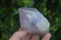 Natural Single Jacaranda Amethyst Crystals  x 12 From Mumbwe, Zambia - Toprock Gemstones and Minerals 