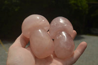 Polished Gemmy Pink Rose Quartz Mushrooms  x 6 From Madagascar - TopRock