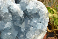 Natural Extra Large Celestite Geode With Large Cubic Crystals  x 1 From Sakoany, Madagascar - TopRock