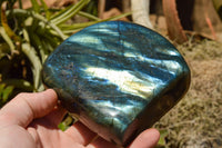 Polished Labradorite Standing Free Forms With Intense Blue & Gold Flash x 2 From Sakoany, Madagascar - TopRock