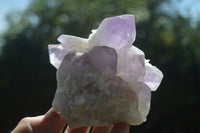 Natural Jacaranda Amethyst Clusters  x 3 From Mumbwa, Zambia - Toprock Gemstones and Minerals 