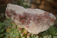 Natural Red Hematoid Phantom Quartz Clusters x 6 From Zambia