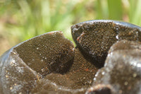 Polished Septaria Dragons Egg x 1 From Mahajanga, Madagascar - TopRock