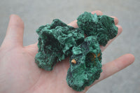 Natural Chatoyant Silky Malachite Specimens  x 12 From Kasompe, Congo - TopRock