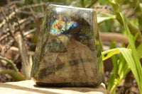 Polished Labradorite Standing Free Form With A Full Face Flash x 1 From Tulear, Madagascar - TopRock