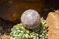 Polished Purple Lepidolite Mica Spheres  x 6 From Madagascar - TopRock