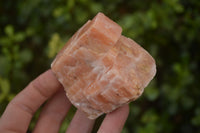 Natural New Sunset Orange Calcite Specimens  x 12 From Spitzkop, Namibia