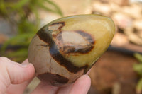 Polished Septaria Dragon's Eggs (Calcite & Aragonite) x 3 From Mahajanga, Madagascar - TopRock