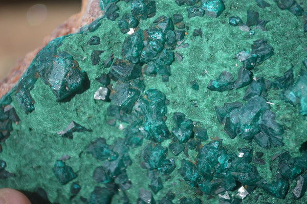 Natural Large Dioptase With Malachite Specimens  x 2 From Likasi, Congo