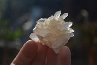 Natural Small Clear Quartz Crystal Specimens  x 35 From Madagascar