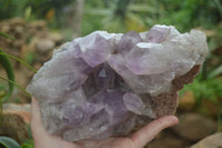 Natural Jacaranda Amethyst Cluster x 1 From Mumbwa, Zambia - TopRock