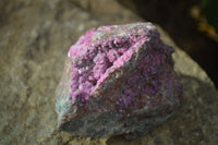 Natural Pink Salrose Cobaltion Dolomite Specimens x 6 From Kakanda, Congo