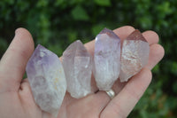 Natural Single Zambian Jacaranda Amethyst Points - Sold per 1.6 kg (24 points per tray) - From Mumbwa, Zambia - TopRock