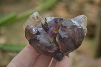 Natural Conglomerate Amethyst Clusters (Man Made) x 6 From Chiredzi, Zimbabwe - TopRock