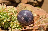 Polished Purple Lepidolite Mica Spheres  x 6 From Madagascar - TopRock